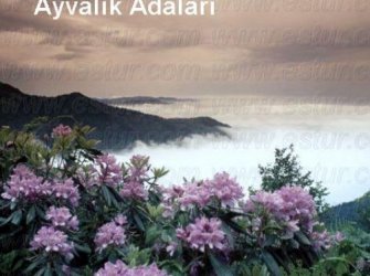 AYVALIK SATILIK ADA