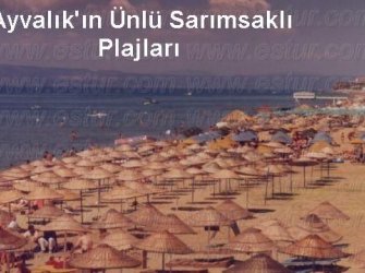 AYVALIK SATILIK ADA